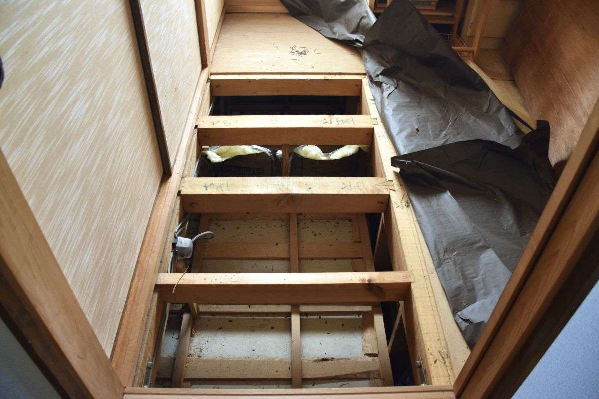 中板橋駅周辺での害虫駆除の費用と対策法！安心施工の判断ポイントとは